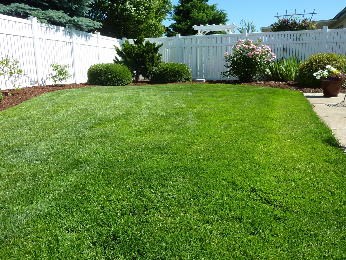 a beautiful yard