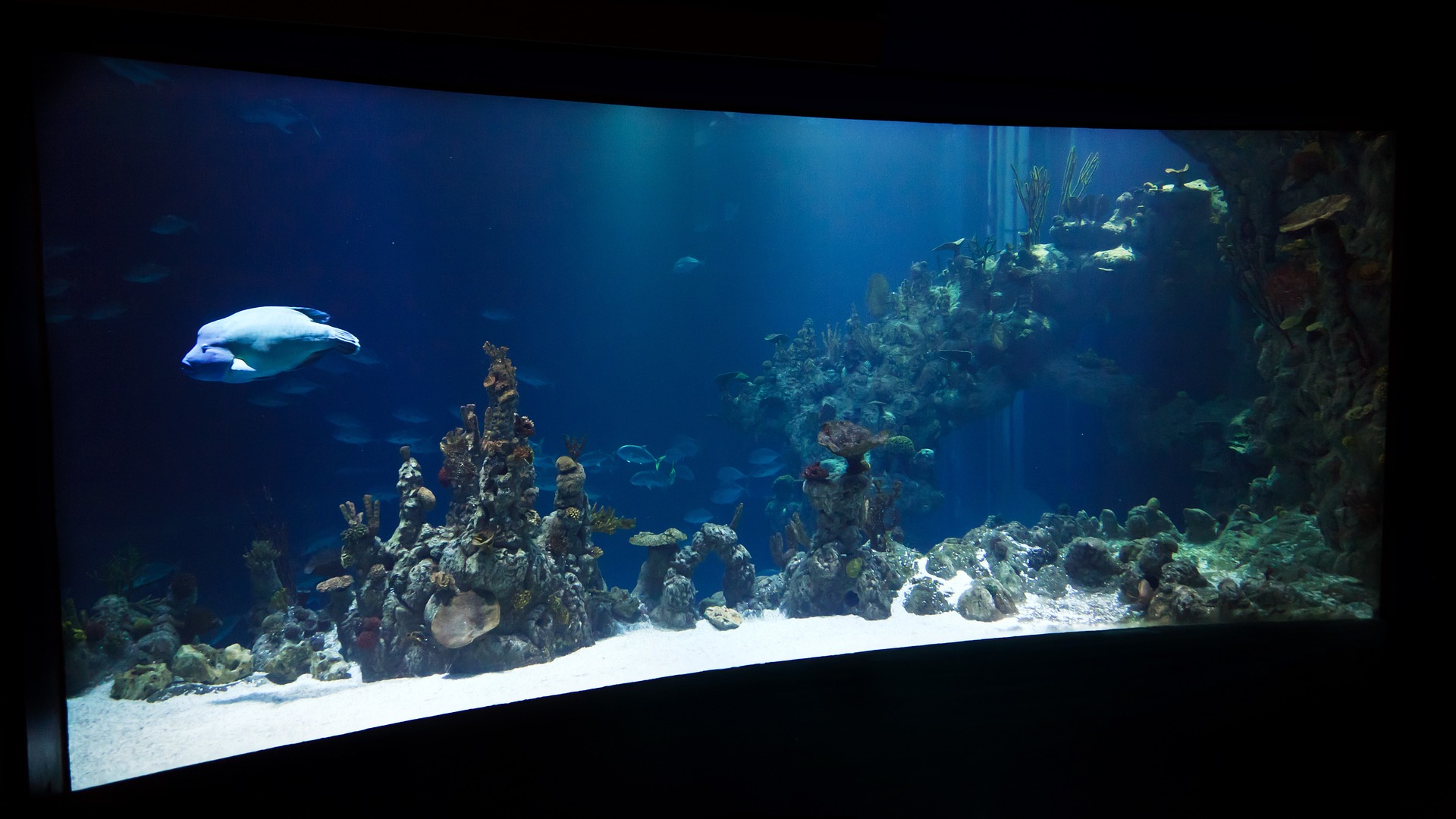 aquarium